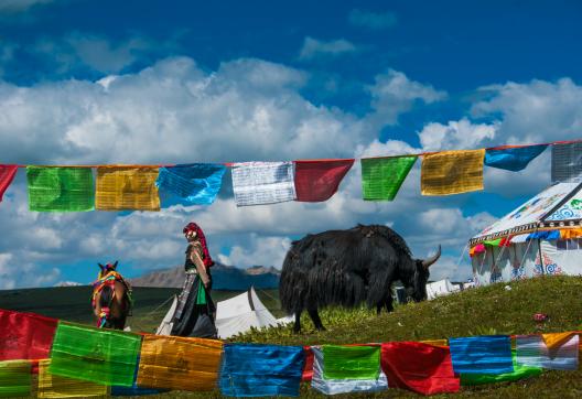 Nomades du Tibet oriental en Chine