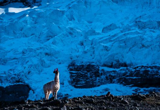 Entre Upis et Ausangate Cocha pendant le trek de l’Ausangate au Pérou