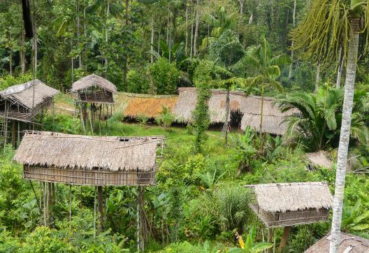 Découverte de la vue depuis une maison haut perchée chez les Korowai de Papua