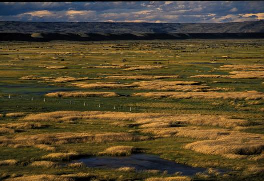 Désert d'altitudes et salars du Nord-Ouest argentin par la route 40