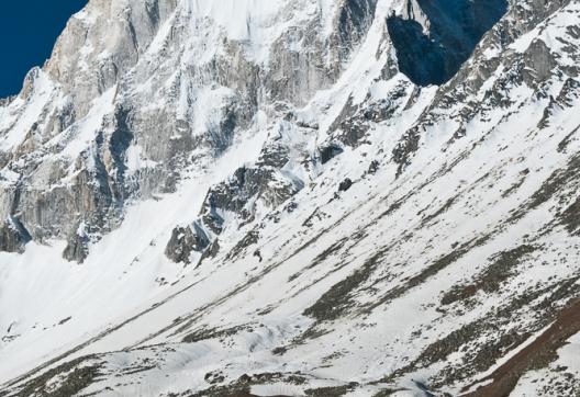 Bharal devant le Shivling depuis Tapovan près de Gangotri aux sources du Gange en Inde