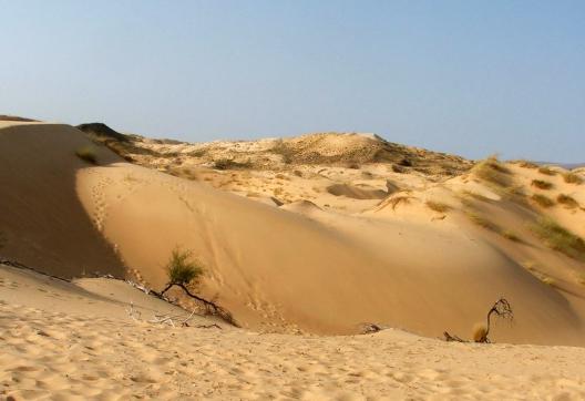 Trekking et étendues désertiquesen Afrique du sud