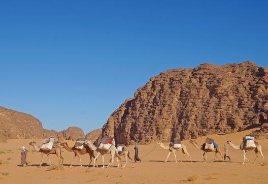 Voyage avec une caravane de chameau en Algérie