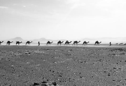 Voyage et caravane sous une tempête de sable