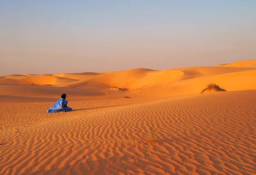 Trekking avec le guide face aux dunes