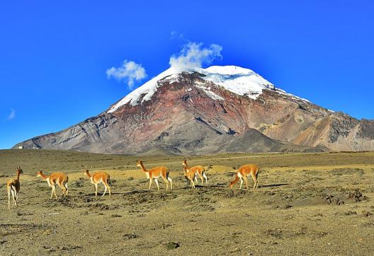 Chimborazo à 6 268 m dans les Andes en Équateur