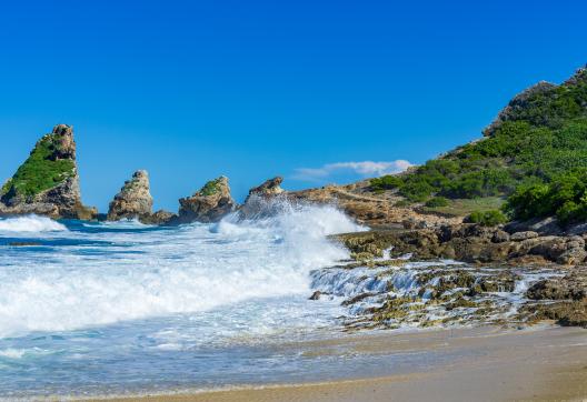 excursion à la Pointe des chateaux, Guadeloupe, Caribbean