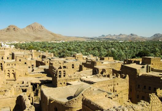 randonnée dans la palmeraie de birkat al Mouz près de Nizwa