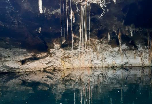 Découverte du Cenote Noh Mozon au Mexique