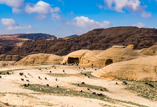 Randonnée vers les anciennes tombes nabatéennes devenues bergeries près de "Petite Pétra"