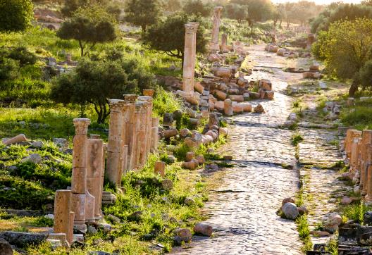Randonnée dans les ruines de l'ancienne ville romaine et juive d'Umm Qaïs dans la province d'Irbid