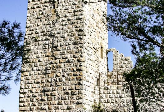 Randonnée vers la forteresse musulmanne d'Ajlun sur le Jabal Ajloun