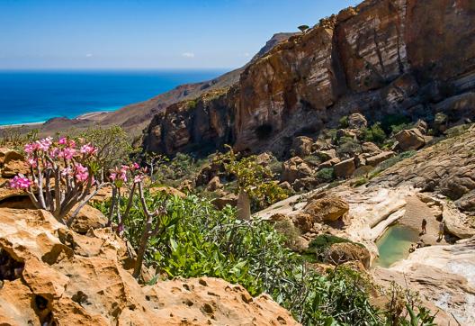 Comtemplation d'un paysage ouvrant sur la Mer d'Arabie à Homlil