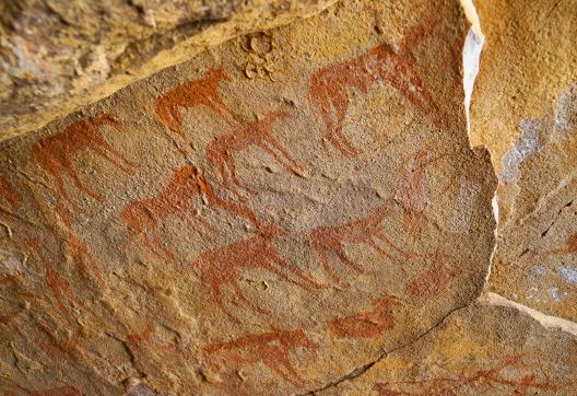 Découverte d'une peinture rupestre dans la Tadrart