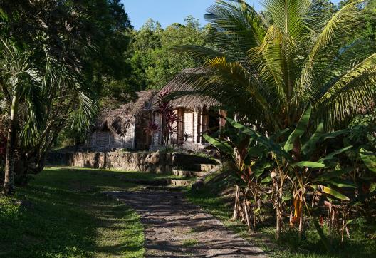 Randonnée sud Savane des esclaves en Martinique