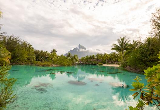 détente au lagon four seasons resort bora bora