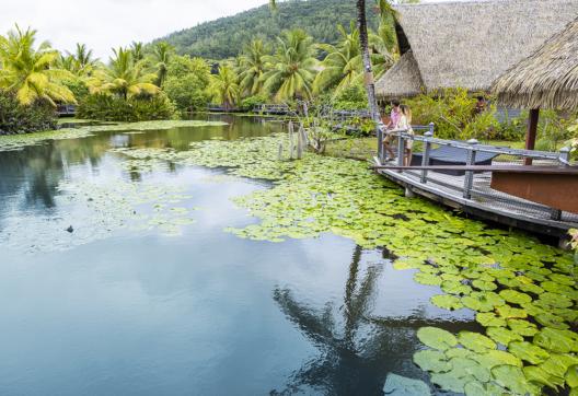 randonnée à Huahine