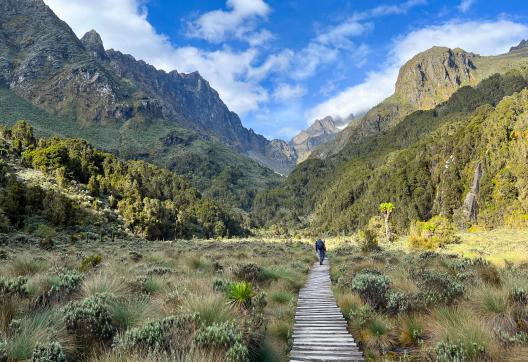 Voyage de trek dans les Ruwenzori