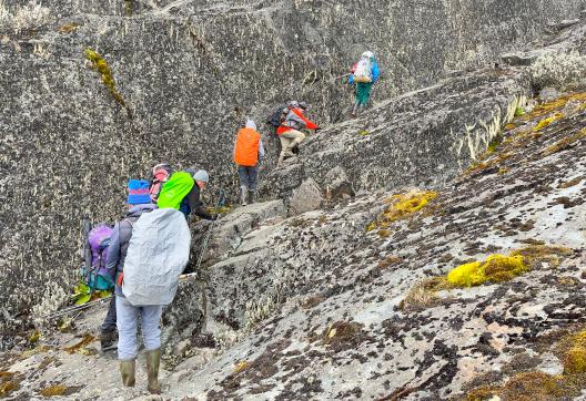 Voyage et montée au mont Stanley
