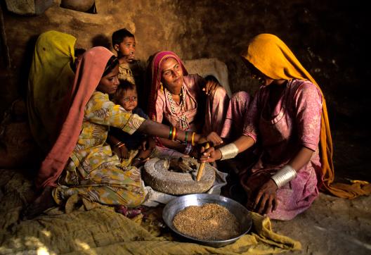 Immersion dans un campement dans le désert du Thar au Rajasthan