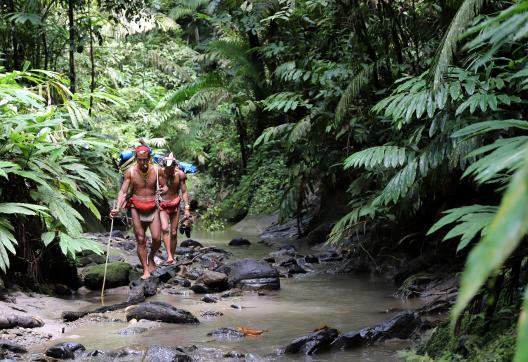 Trek avec des chamans mentawaï vers la région des Sakuddei sur l'île de Siberut