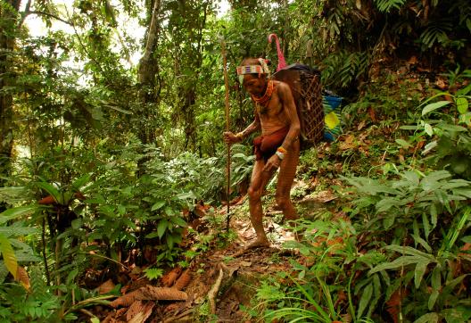 Trek vers la vallée d'Attabai sur l'île de Siberut