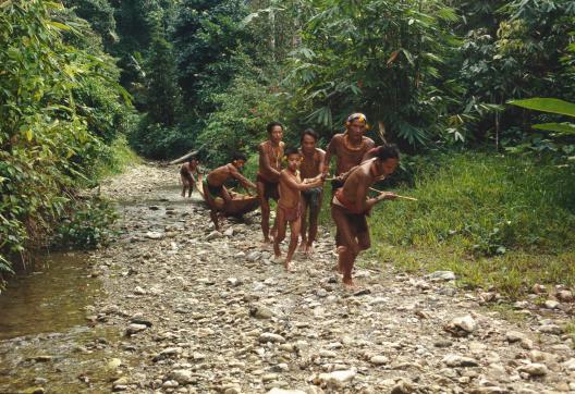 Trekking avec des Mentawaï qui tirent une pirogue en forêt sur l'île de Siberut