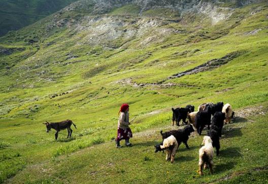 Trek et randonnée pamir et mont Fansky Tadjikistan