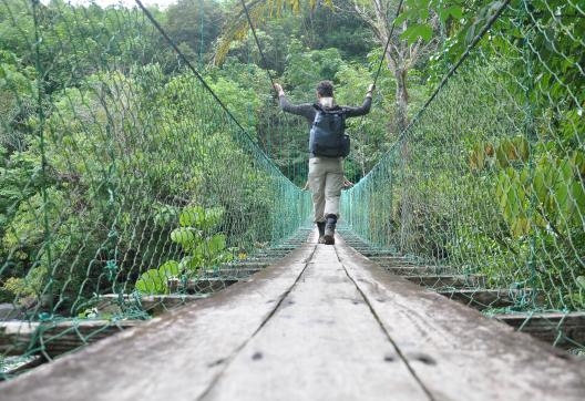 Trek à travers la jungle et traversée d'une passerelle entre Sabah et Sarawak