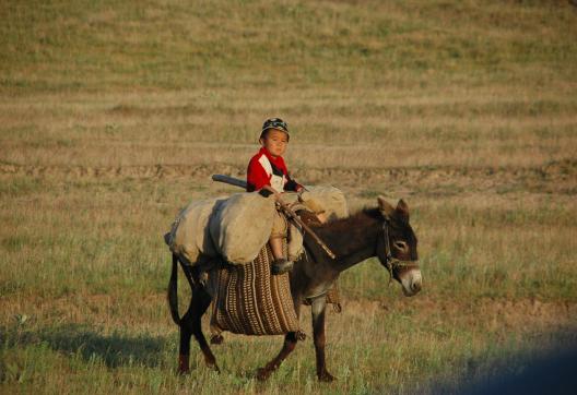 Un tout jeune berger Kirghize