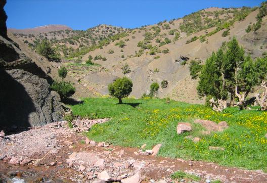 Trekking avant un col au tizi n'Rougoult