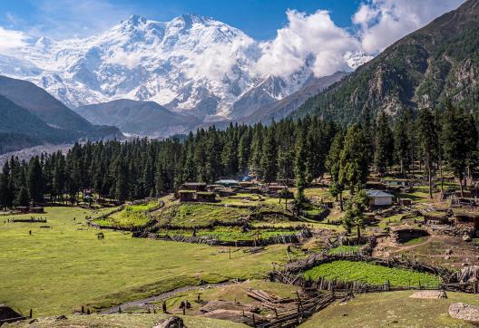 Trek vers la vallée de Fairy Meadows au pied du Nanga Parbat au Pakistan