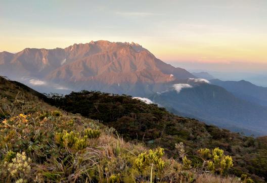 Trekking sur les pentes du Mont Tambuyukon dans l'état de Sabah