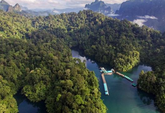 Voyage vers le parc national de Khao Sok au sud de la Thaïlande