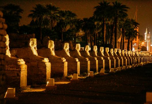 Contemplation de l'allée des Sphinx à Louxor