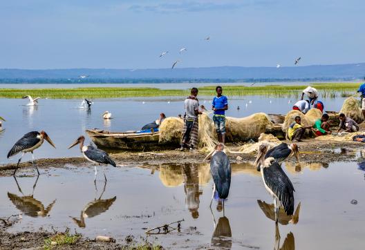 Rencontre avec des pêcheurs du Rift