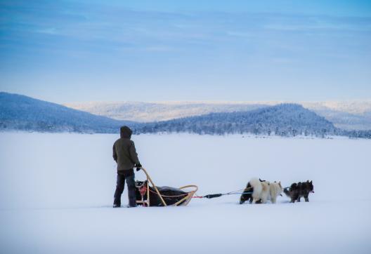 Voyage en traineau et ambiance nordique en Laponie
