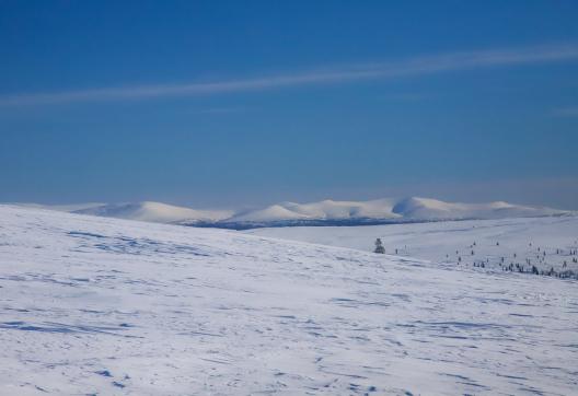 Découverte de l'ambiance arctique en Laponie finlandaise