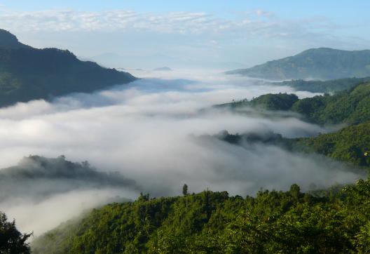 Randonnée à travers les monts Cardamomes au Kerala