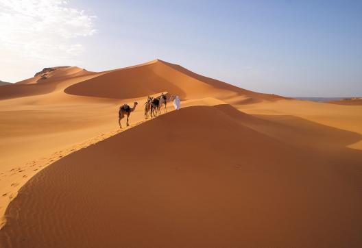 Voyage d'aventure avec des chameaux sur des dunes à Mehadjebat