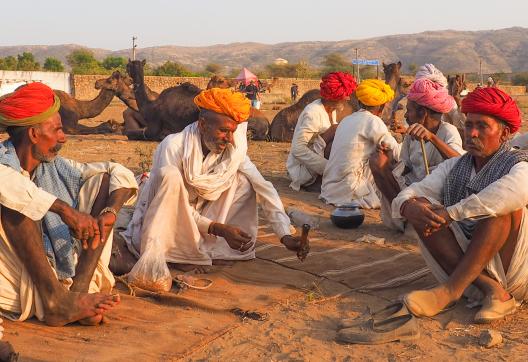 Randonnée avec les bergers du Rajasthan