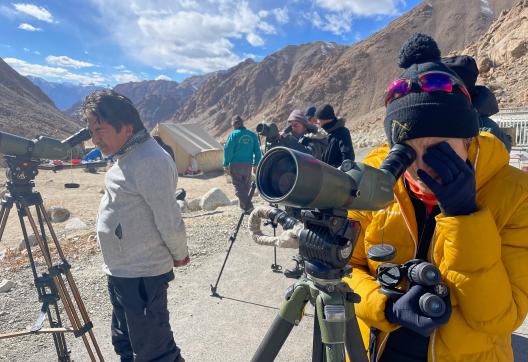 Observation de la panthère des neiges au Ladakh