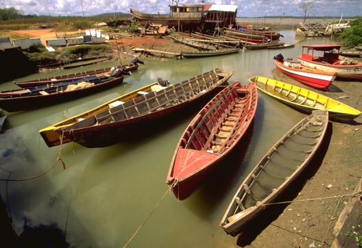 Pirogues dans le port de Cayenne