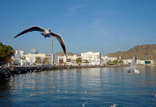 Port de Mascate au Sultanat d'Oman