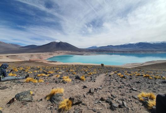 Trekking au laguna verde à l'Ojos del Salado