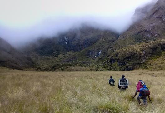 Trek en direction du mont Wilhelm plus haut sommet de Papouasie-Nouvelle-Guinée