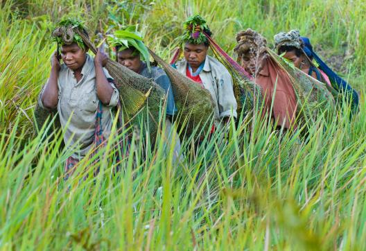 Trekking avec des femmes papoues marchant vers leur village dans les montagnes de Simbai