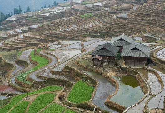 Randonnée vers les rizières en terrasses de Jiabang au Guizhou oriental