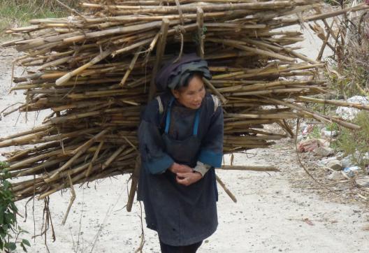 Rencontre d'une femme transportant du bois au Guizhou