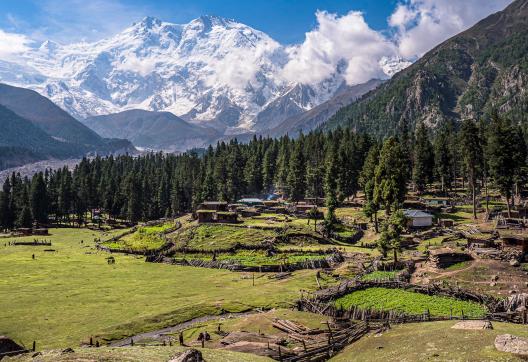 trek vers Fairy Meadows au pied du Nanga Parbat au Pakistan